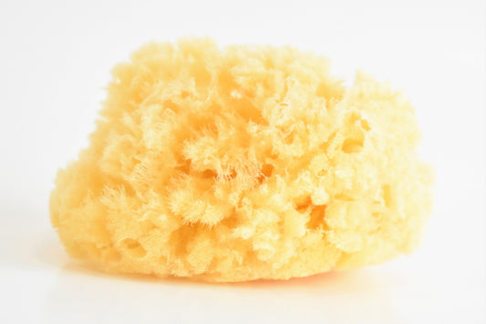 natural sea sponge - Small Batch Soaps